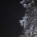 Новый год Метинвест 2011-2012