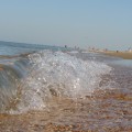 IMG_3601