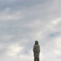 Скульптура на крыше эрмитажа