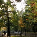 Осень. Осенние листья.