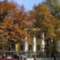Осень. Осенние листья.
