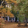Осень. Осенние листья.