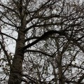 IMG_6711