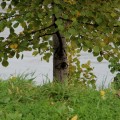 IMG_6743