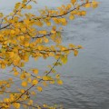 IMG_6751