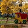 IMG_6884