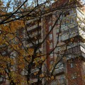 IMG_6910