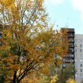 IMG_6916