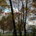 IMG_6967