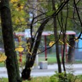 IMG_6971