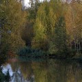 IMG_6975