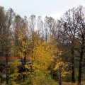IMG_6980