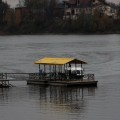 IMG_6995