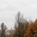 IMG_7012