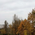 IMG_7025