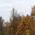 IMG_7027