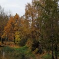 IMG_7032