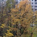 IMG_7073