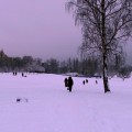 Зима. Снег.