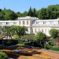 peterhof_0038
