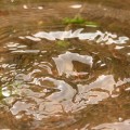 Круги на воде