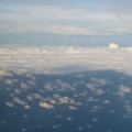 IMG_8081
