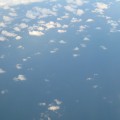 IMG_8082