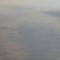 IMG_8098