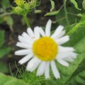 IMG_5772