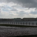 IMG_8448