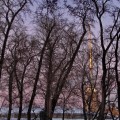 IMG_5363