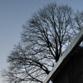 IMG_4411